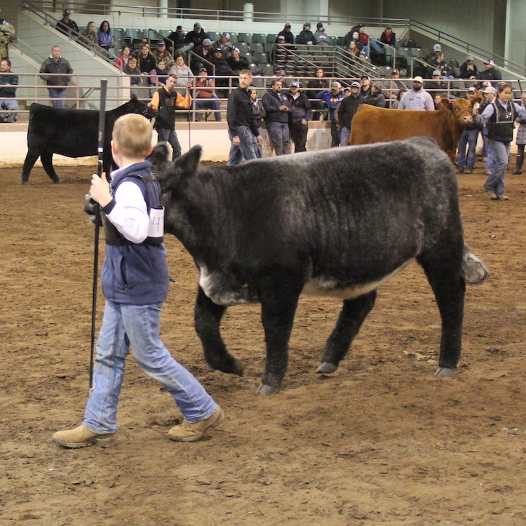 GFB celebrates 30th Annual Ga.  Jr. National Livestock Champions